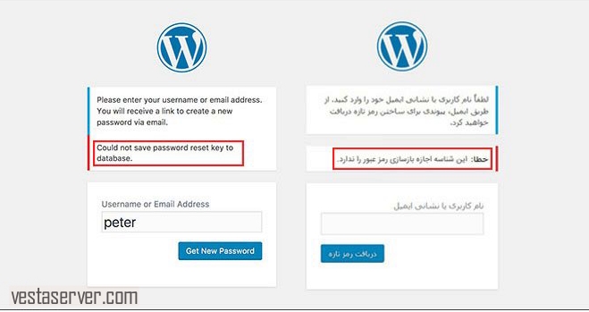 خطای عدم بازسازی رمز عبور در وردپرس